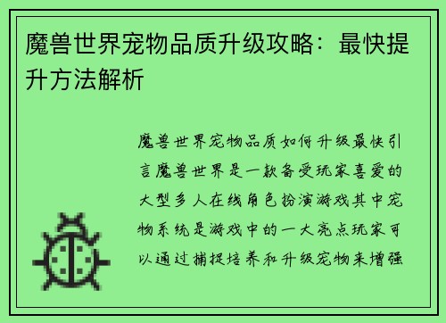魔兽世界宠物品质升级攻略：最快提升方法解析